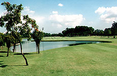 Singapore Roars 