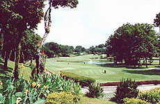7th Hole JCC